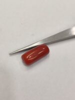 Natural Red Coral 14.60 Ratti (Italian) - Image 2