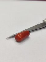 Natural Red Coral 14.60 Ratti (Italian) - Image 4