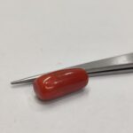 Natural Red Coral 14.60 Ratti (Italian)