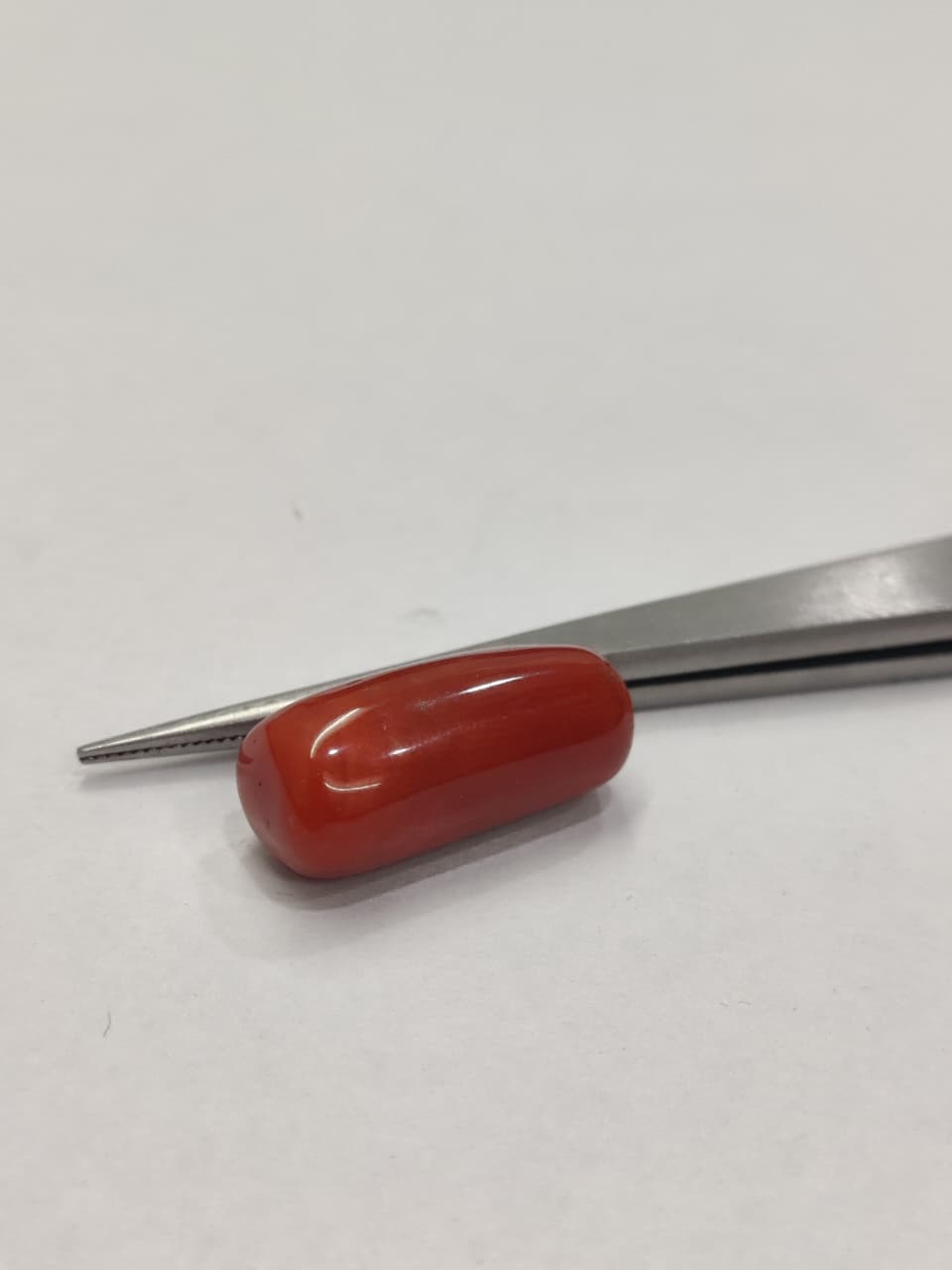 WhatsApp Image 2026-01-13 at 5.34.12 PM Natural Red Coral 14.60 Ratti (Italian) - Image 1