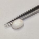 Natural White Coral 9.10 Carats