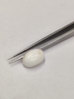 Natural White Coral 9.10 Carats