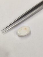Natural White Coral 9.10 Carats - Image 6