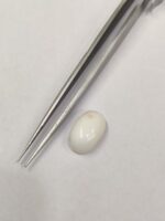 Natural White Coral 9.10 Carats - Image 5