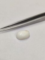 Natural White Coral 9.10 Carats - Image 2