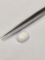 Natural White Coral 9.10 Carats - Image 3