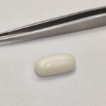 Natural White Coral 11.15 Carats