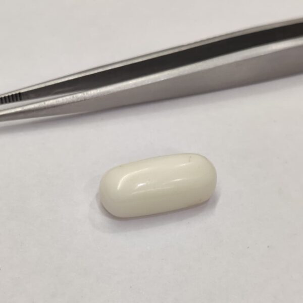 Natural White Coral 11.15 Carats