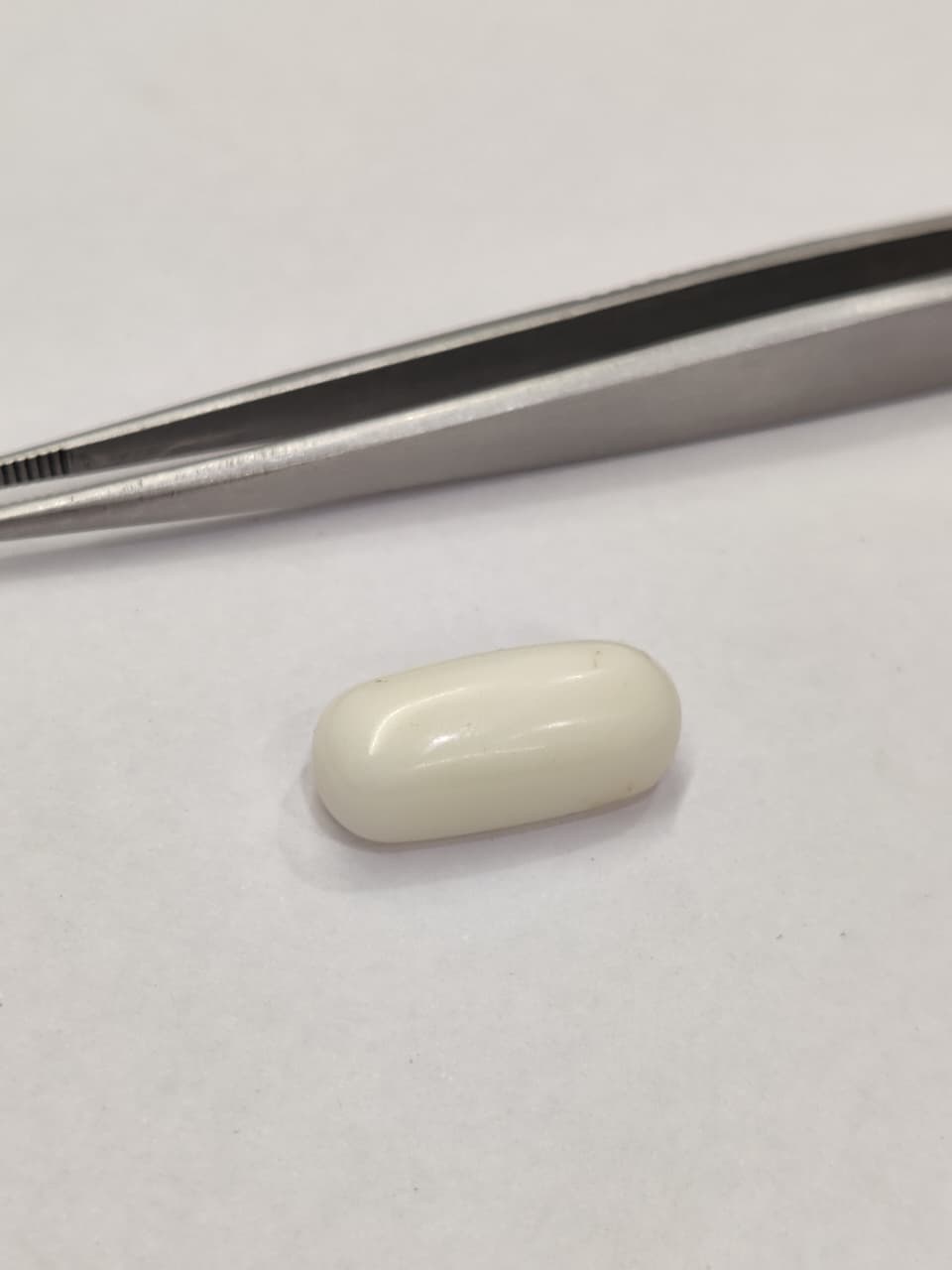 WhatsApp Image 2026-01-19 at 5.38.18 PM Natural White Coral 11.15 Carats - Image 1