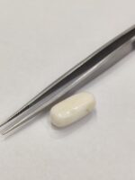 Natural White Coral 11.15 Carats - Image 7