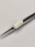 Natural White Coral 11.15 Carats - Image 6