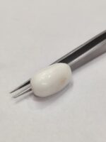 Natural White Coral 15.65 Carats - Image 2