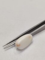 Natural White Coral 15.65 Carats - Image 7