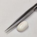 Natural White Coral 15.65 Carats