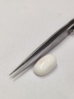 Natural White Coral 15.65 Carats