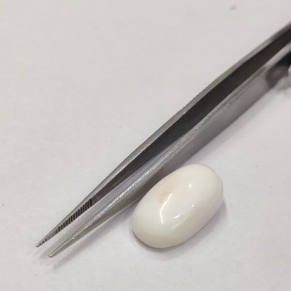 Natural White Coral 15.65 Carats