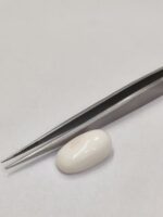 Natural White Coral 15.65 Carats - Image 4