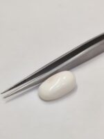Natural White Coral 15.65 Carats - Image 5