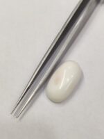 Natural White Coral 15.65 Carats - Image 3