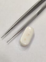 Natural White Coral 11.75 Carats - Image 6
