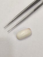 Natural White Coral 11.75 Carats - Image 2