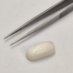 Natural White Coral 11.75 Carats