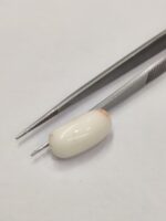 Natural White Coral 11.75 Carats - Image 4