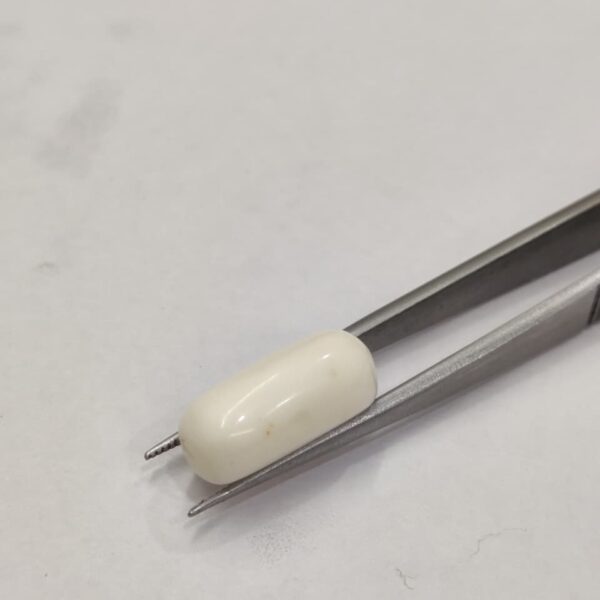 Natural White Coral 12.30 Carats