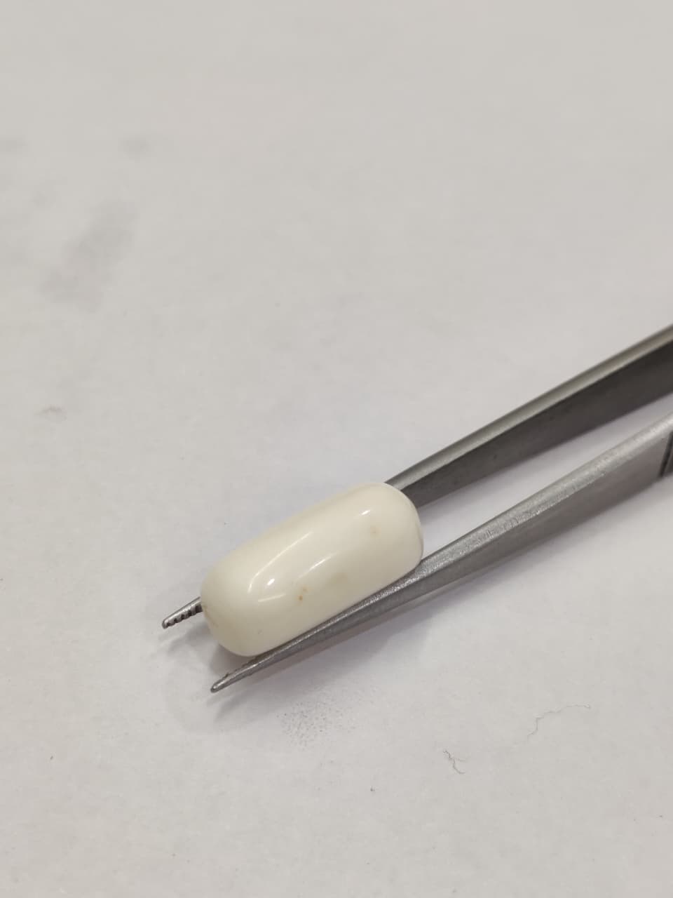 WhatsApp Image 2026-01-19 at 5.59.38 PM Natural White Coral 12.30 Carats - Image 1