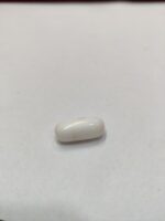 Natural White Coral 11.95 Carats - Image 4