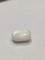 Natural White Coral 20.75 Carats