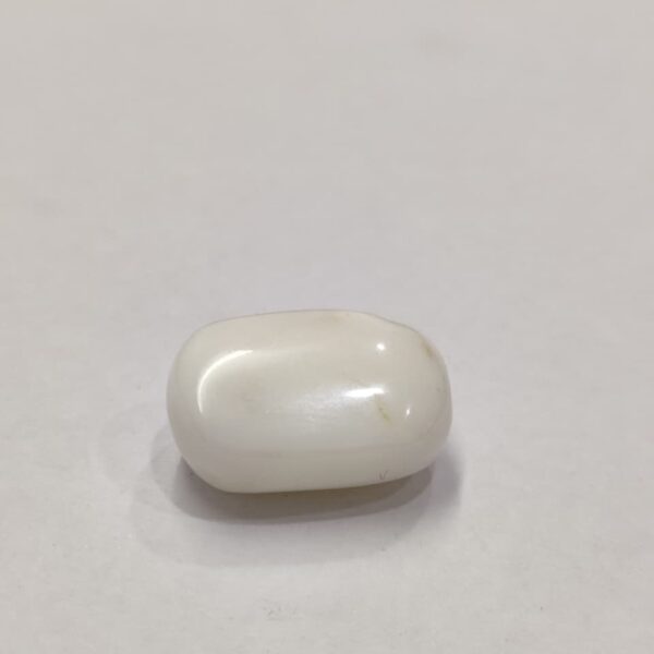 Natural White Coral 20.75 Carats