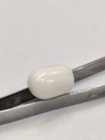 Natural White Coral 20.75 Carats - Image 3