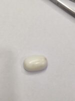 Natural White Coral 20.85 Carats - Image 5