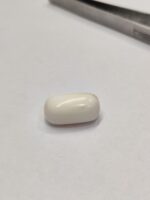 Natural White Coral 20.85 Carats - Image 4