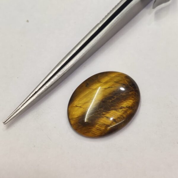 Natural Tigar Eye 19.35 Carats