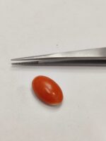 Natural Japanese Coral 12.34 Ratti (Mungha)
