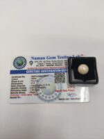 Natural South Sea Pearl – 8.31 Carats (Moti) - Image 7