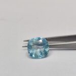 Blue Topaz 7.72 Carats (Neelomani)